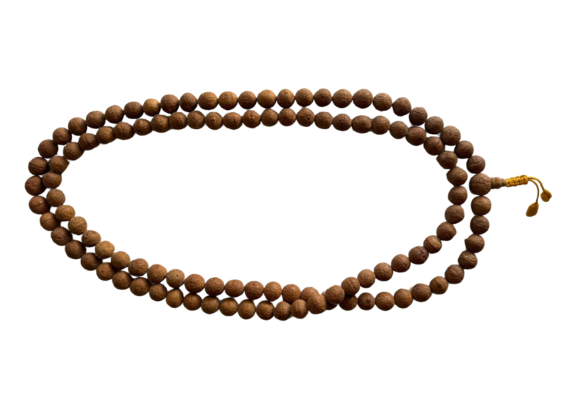 Mala grande de semilla de rudraska pulida