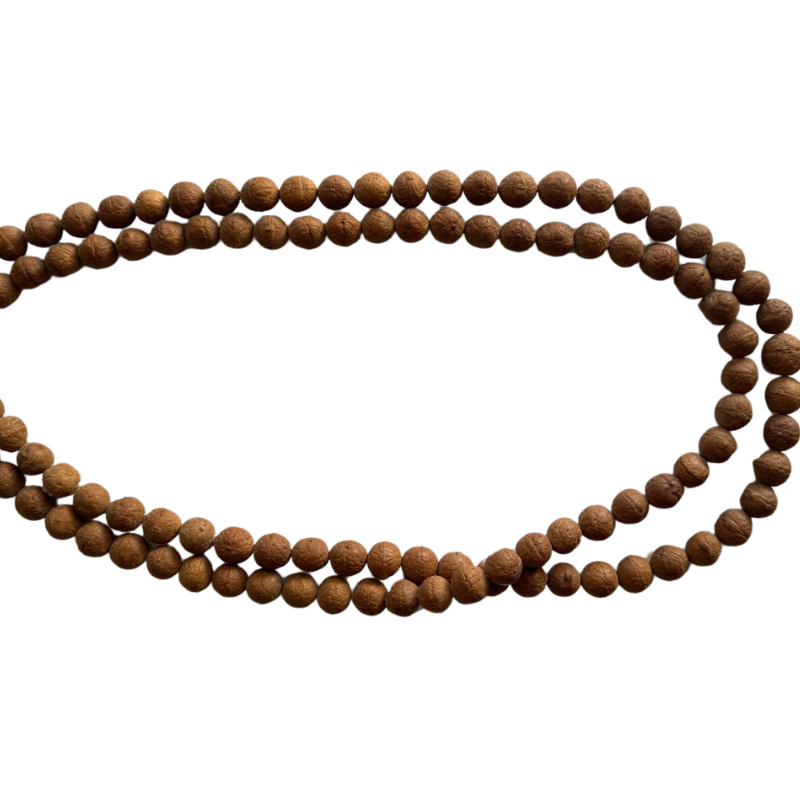 Mala grande de semilla de rudraska pulida